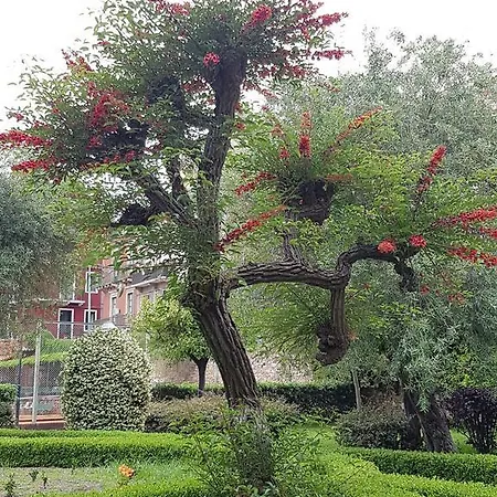 Апартаменты Da Cristina Con Amore *