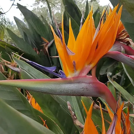 Апартаменты Da Cristina Con Amore