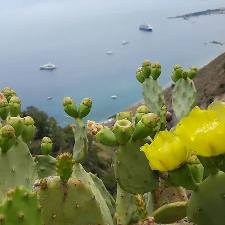 Апартаменты Da Cristina Con Amore *