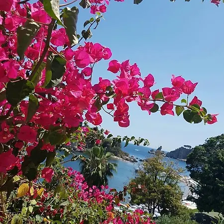 Апартаменты Da Cristina Con Amore *