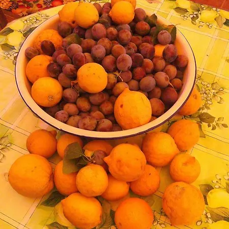 Апартаменты Da Cristina Con Amore *