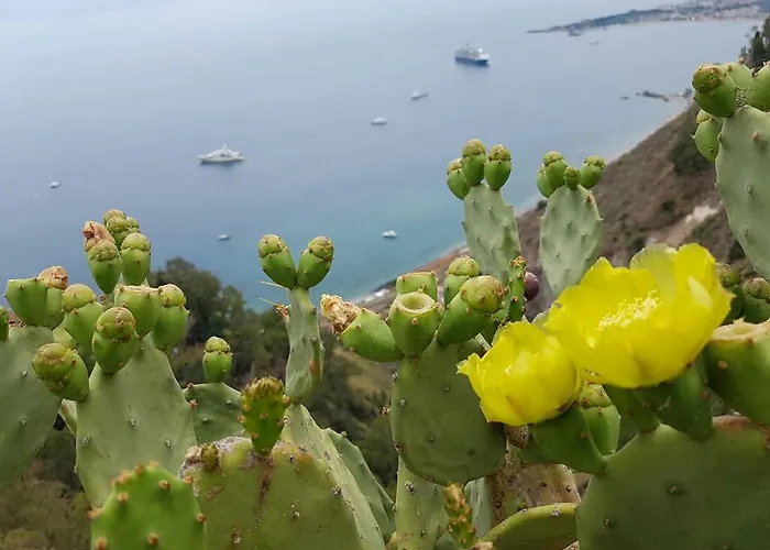 Appartement Da Cristina Con Amore *