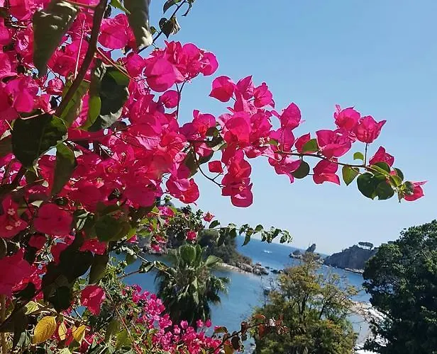 Appartement Da Cristina Con Amore *