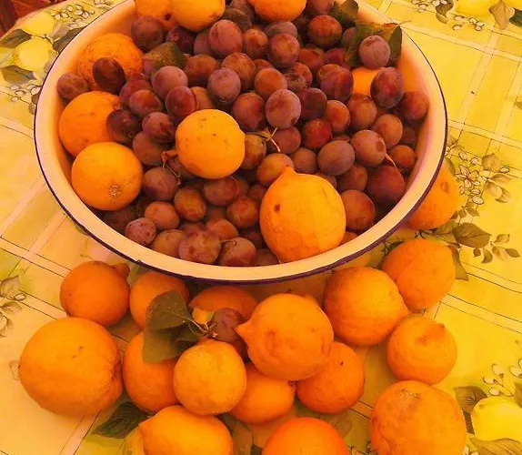 Appartement Da Cristina Con Amore *